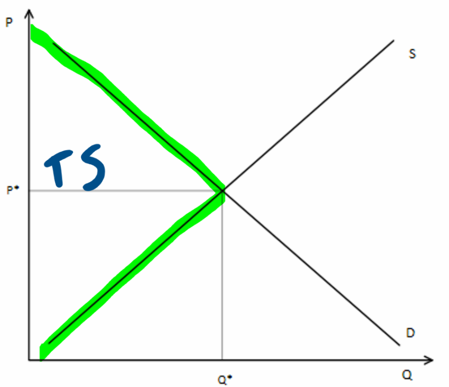 Supply and demand graph with green shaded area representing Total Surplus (TS). The TS region is below the demand curve (D) and above the supply curve (S), to the left of equilibrium quantity Q*. Handwritten TS label marks the shaded area. Axes labeled P and Q with equilibrium at P* and Q*.