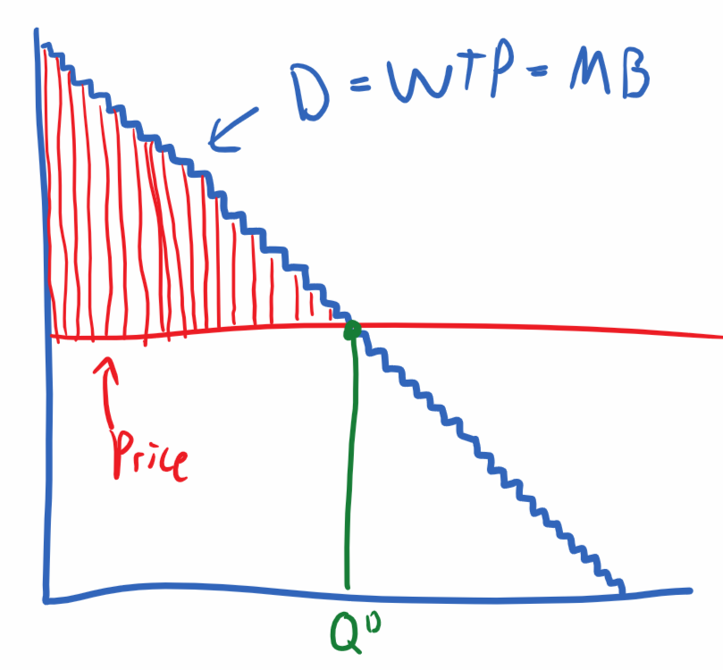 Hand-drawn continuous demand curve labeled D = WTP = MB with red vertical lines filling the area between the curve and the horizontal price line, representing individual consumer surpluses. Price labeled in red on y-axis, Q^D in green on x-axis. Green dot marks the equilibrium where price meets demand.